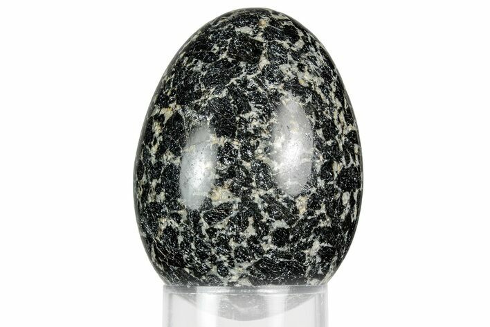 Polished Black and White Hornblende Egg - California #356391